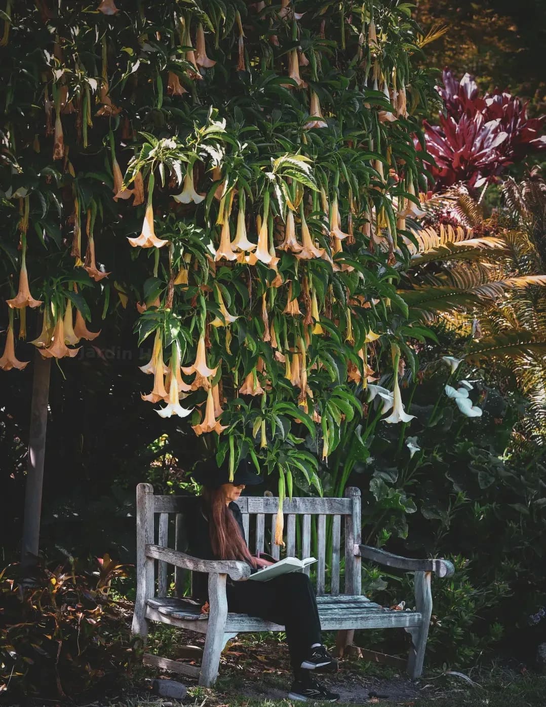 Préparer son jardin pour le printemps : les gestes essentiels