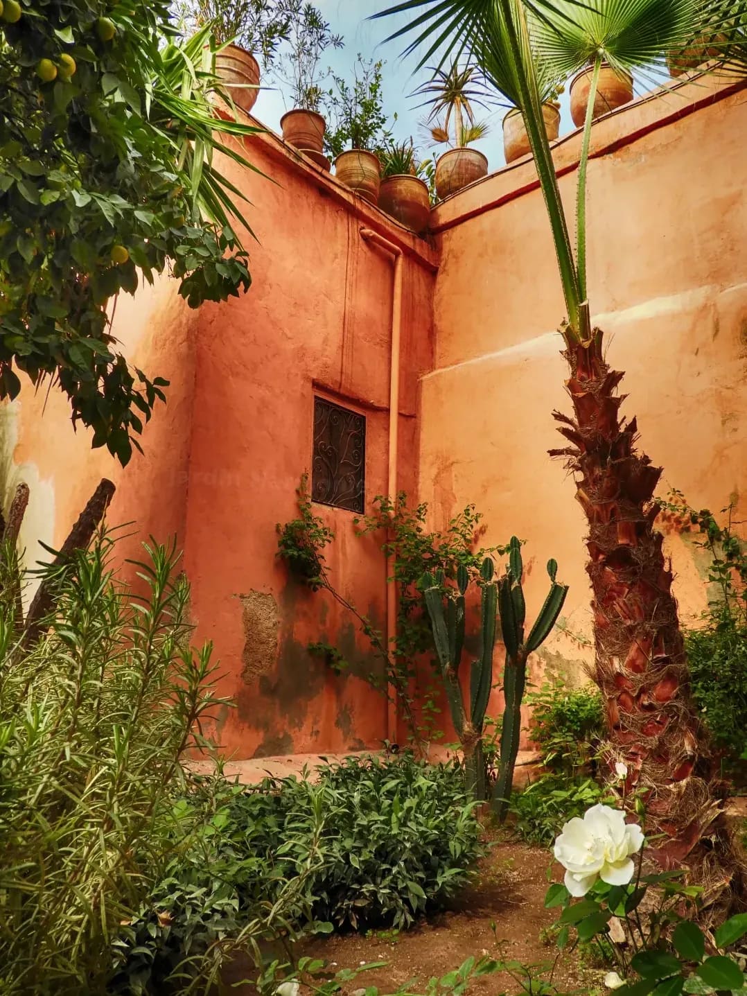 Jardin Harmonie 14