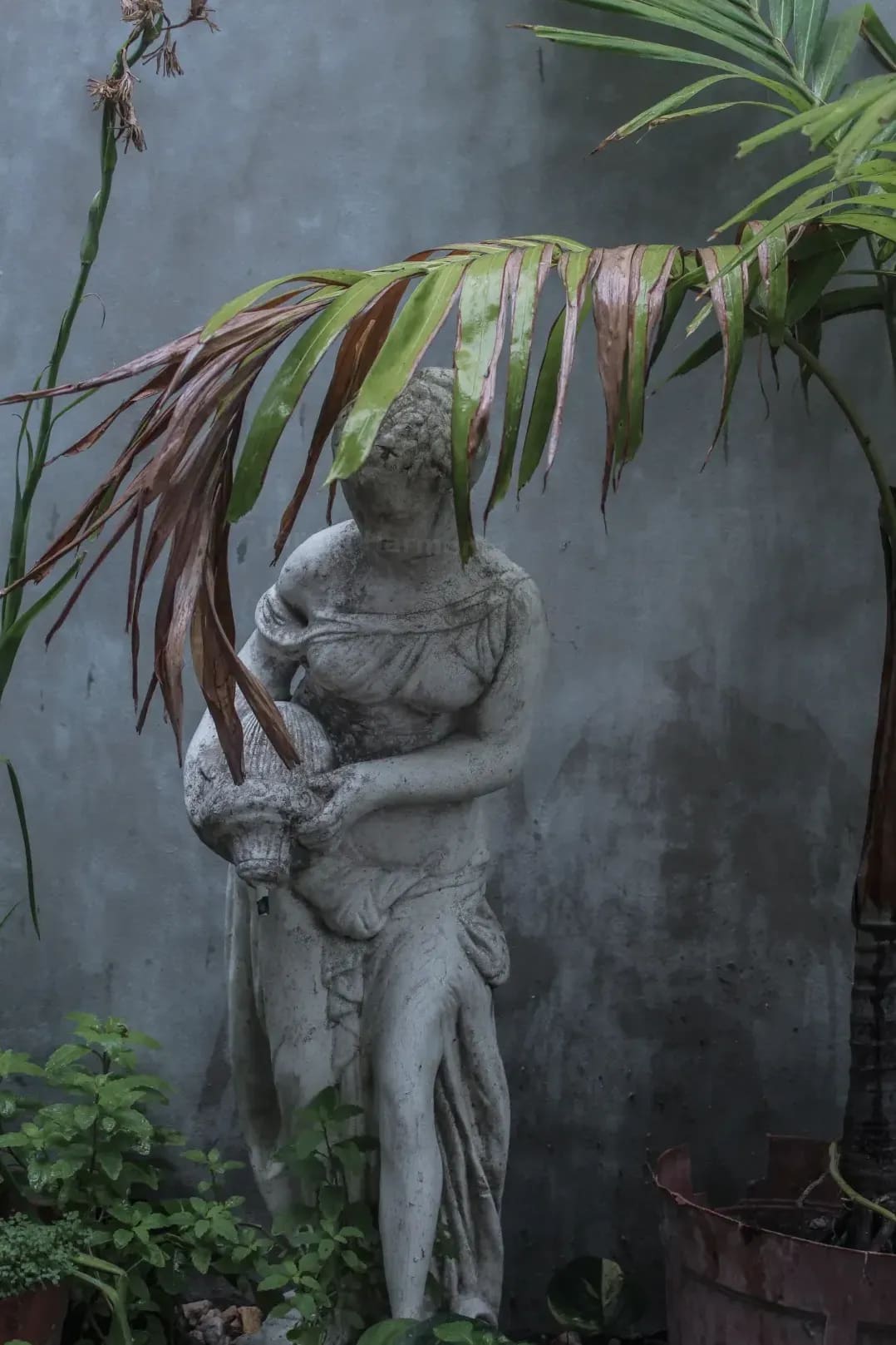 Jardin Harmonie 7