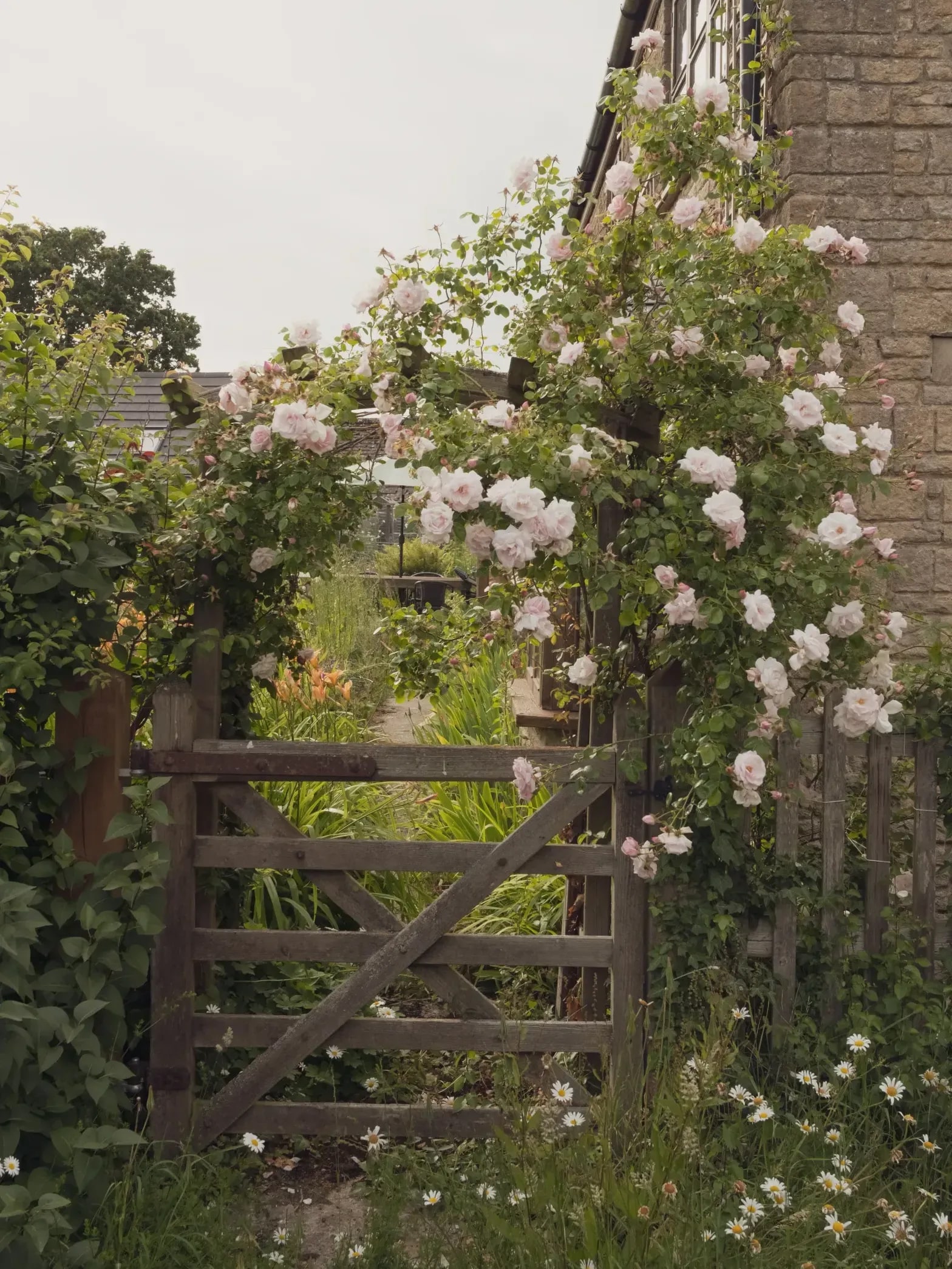 Jardin Harmonie